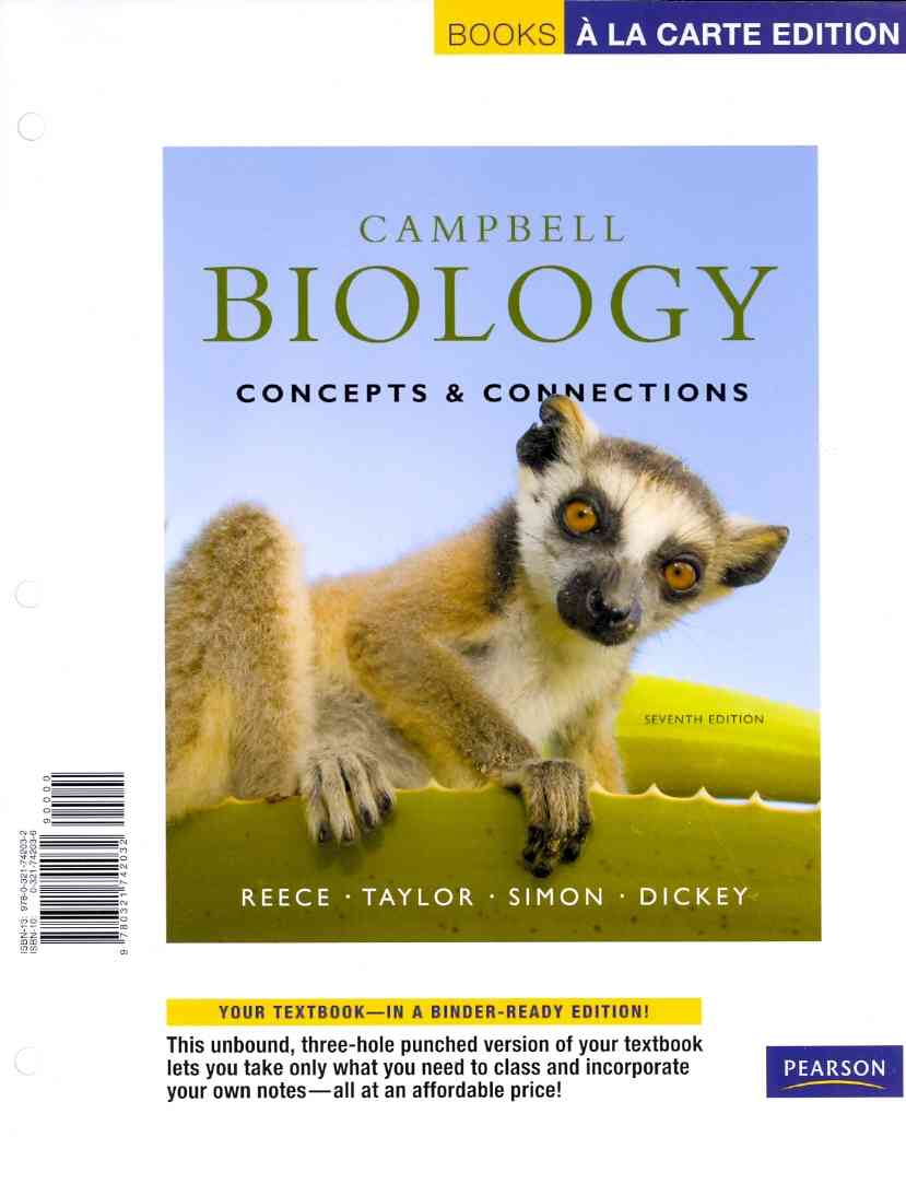 the essay connection 10th edition Rate, review and discuss the essay connection 10th (tenth) edition by bloom, lynn z (2012) by anonymous for free at read print. the essay connection 10th edition Rate, review and discuss the essay connection 10th (tenth) edition by bloom, lynn z (2012) by anonymous for free at read print.
